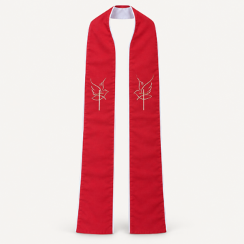 Estola reversible Arciel de INTA